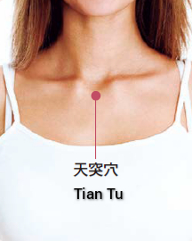 天突.jpg