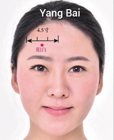 阳白.jpg