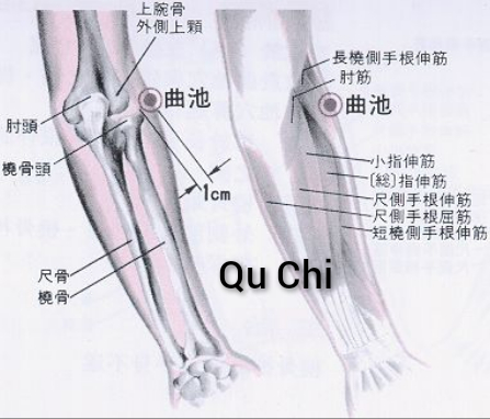曲池.jpg