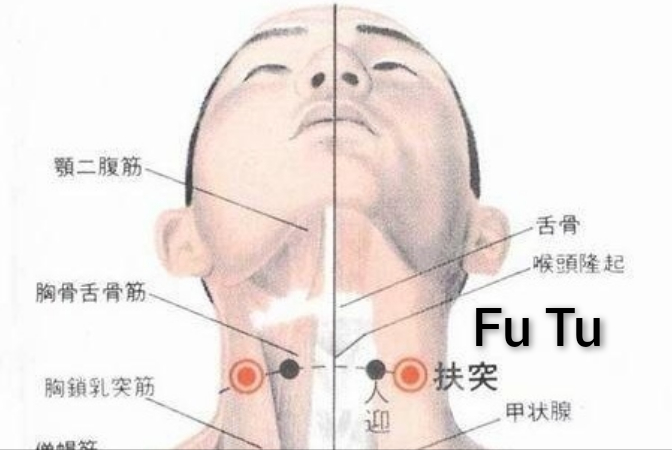 扶突.jpg