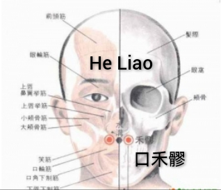 口禾髎.jpg
