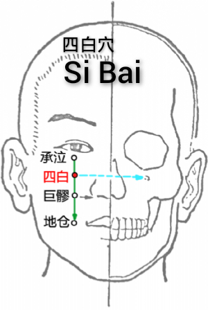 四白.jpg