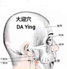 大迎.jpg