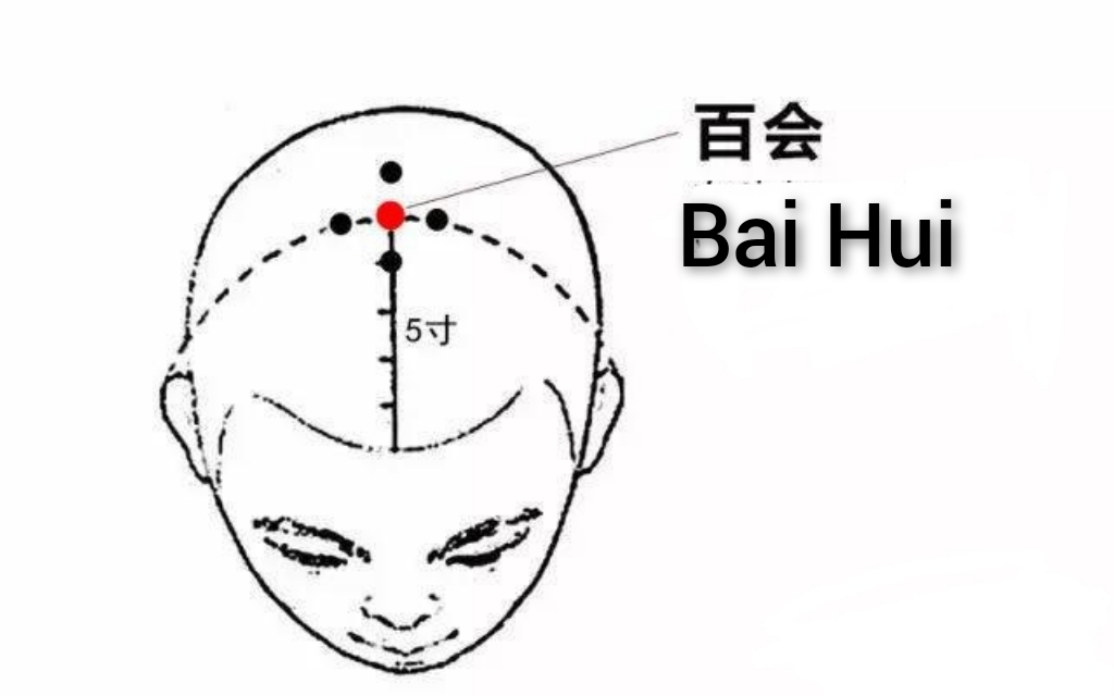 百会.jpg