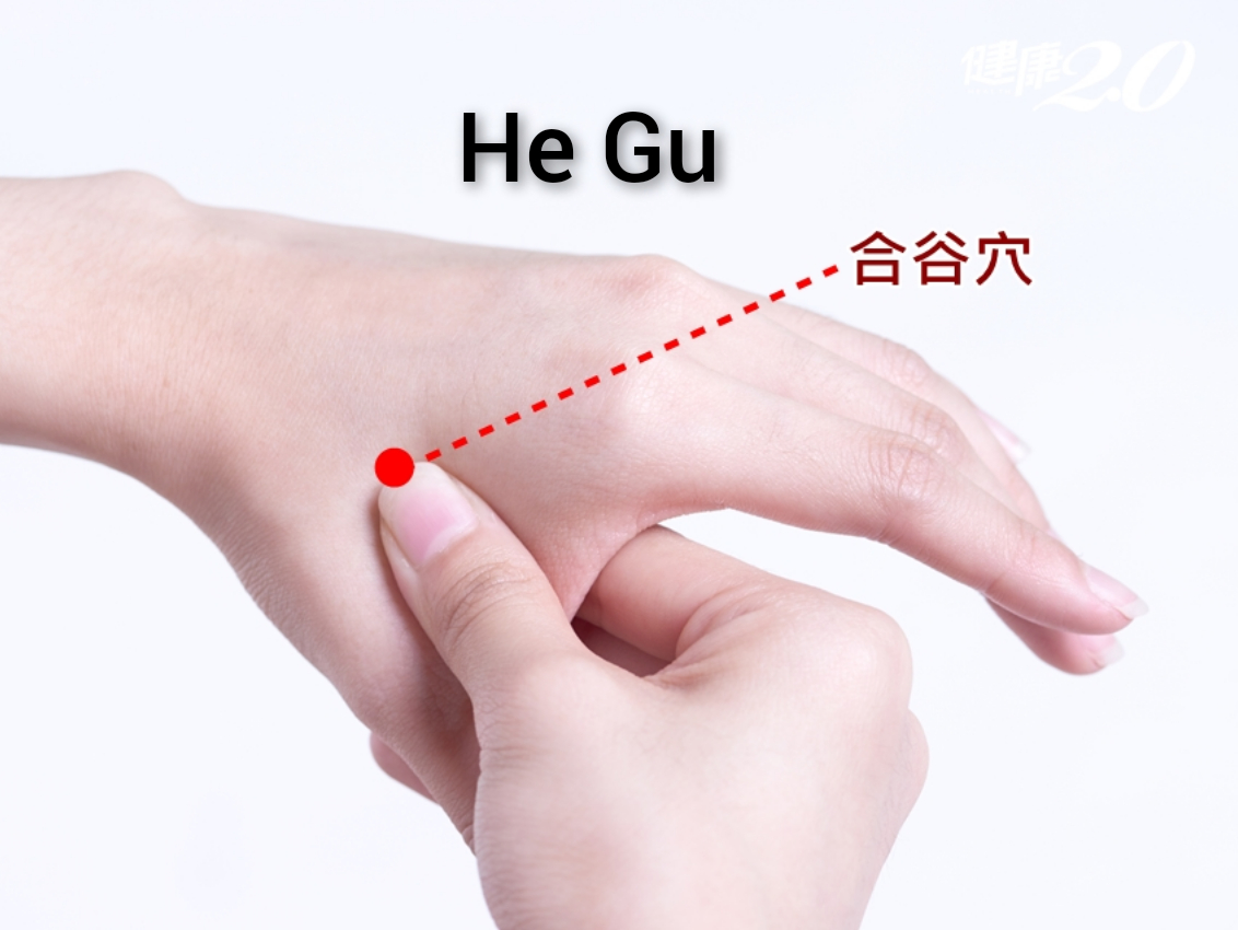 合谷.jpg