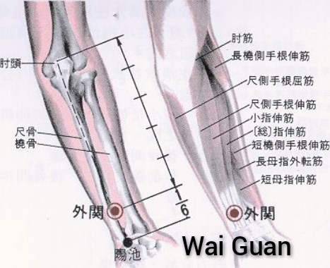 外关.jpg