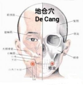 地仓.jpg