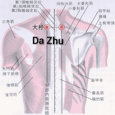 大杼.jpg