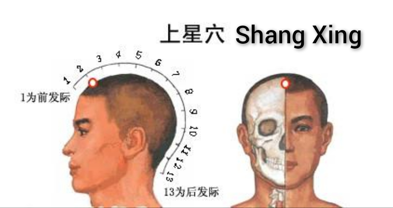 上星0.jpg
