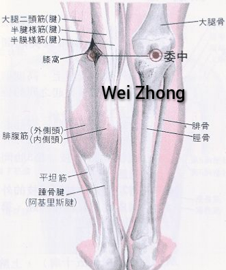 委中1.jpg