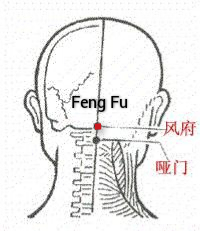 风府1.jpg