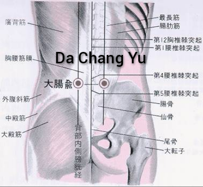 大肠腧2.jpg