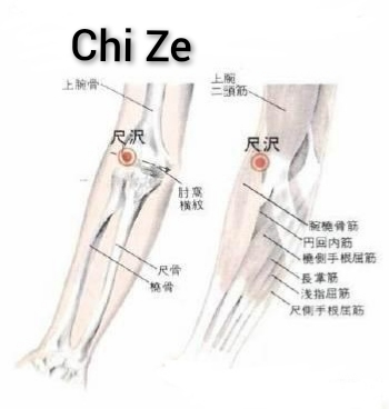 尺泽1.jpg