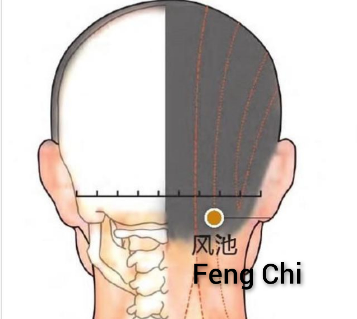 风池2.jpg