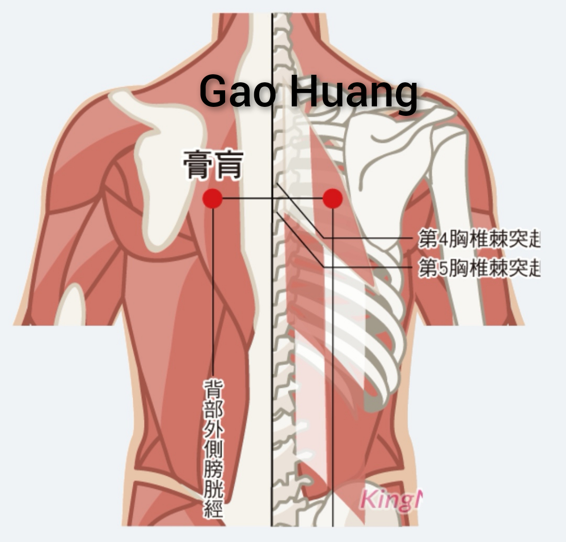 膏肓1.jpg