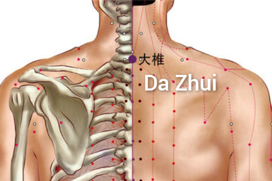 大椎3.jpg
