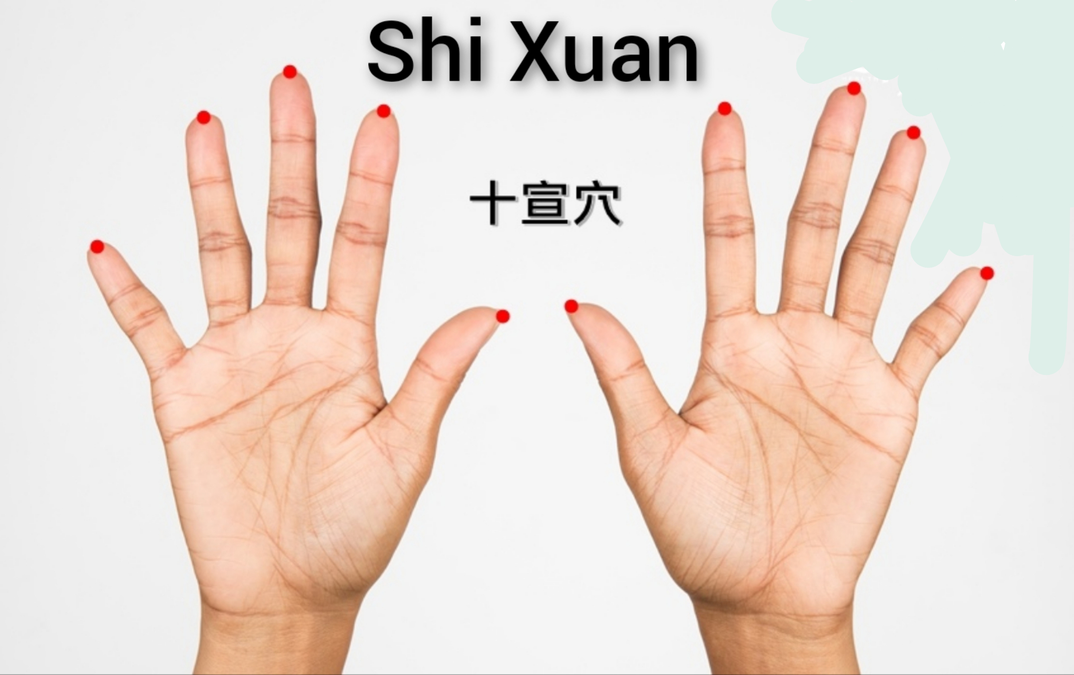 十宣0.jpg