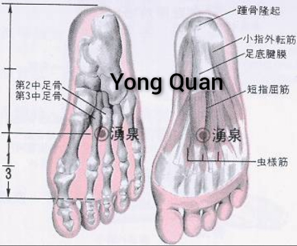 涌泉1.jpg