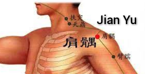 肩髃1.png
