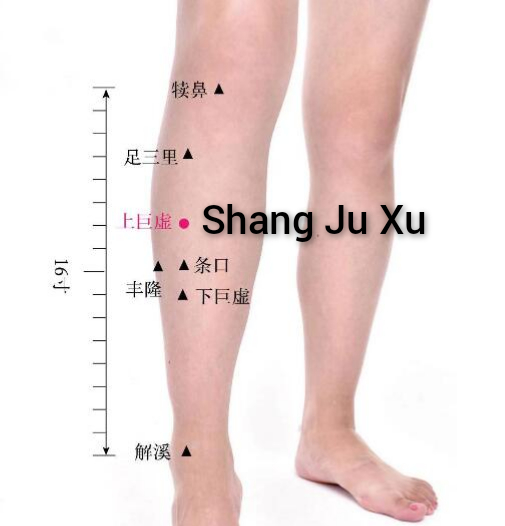 上巨虚1.jpg