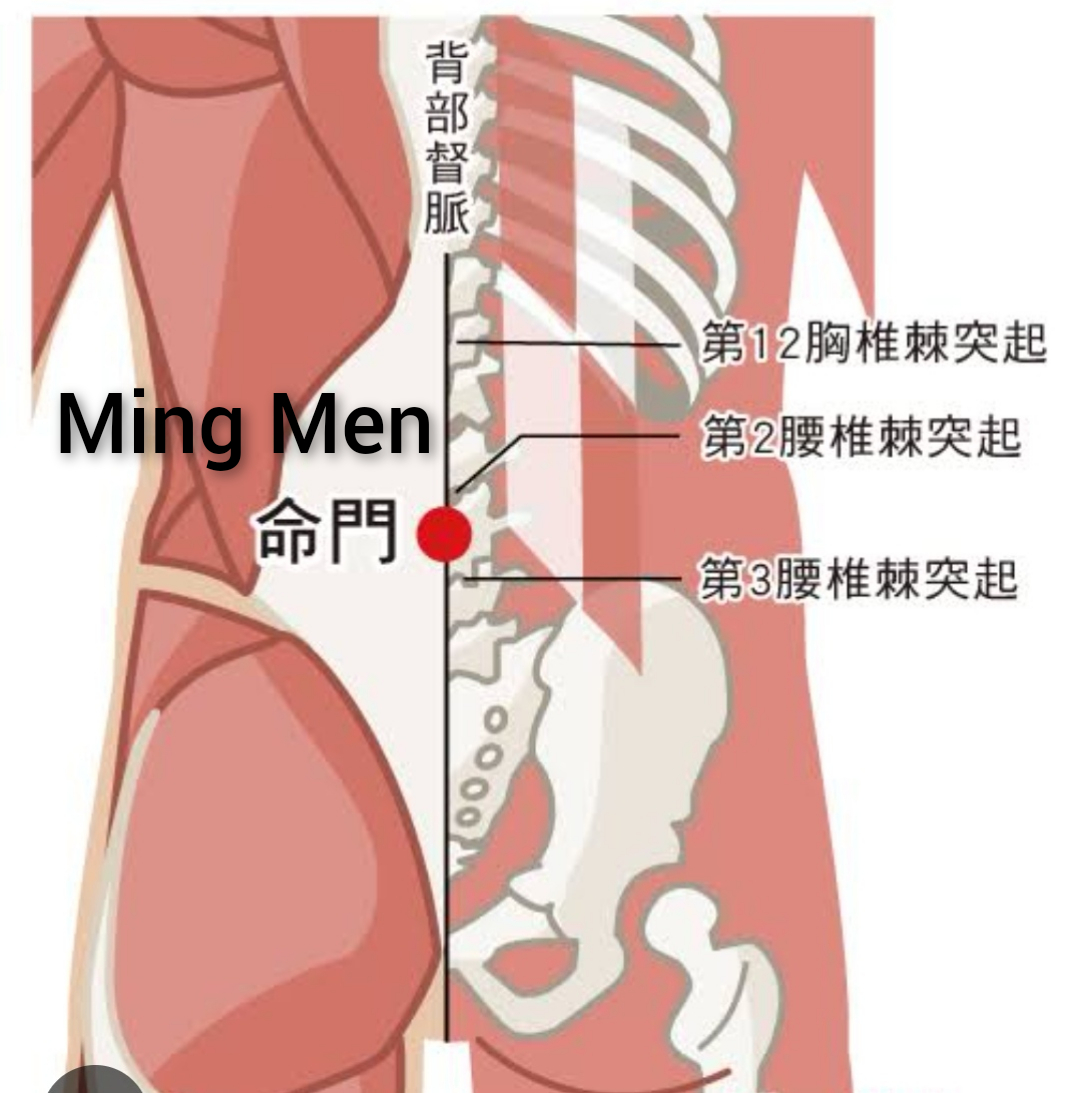 命门1.jpg