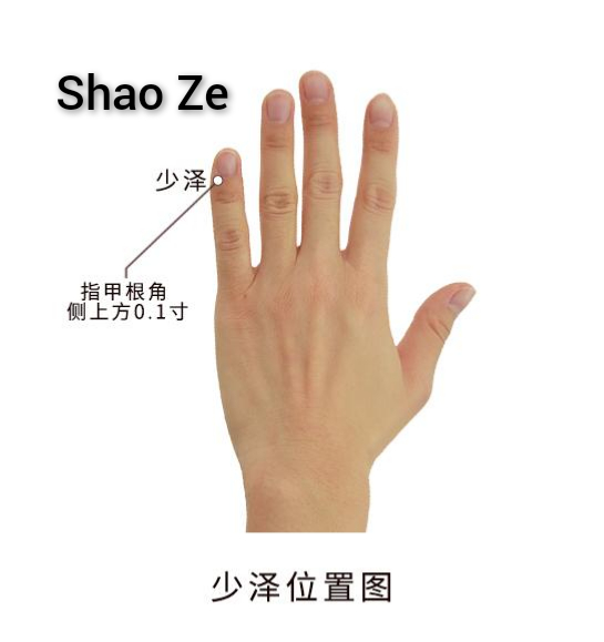 少泽2.jpg