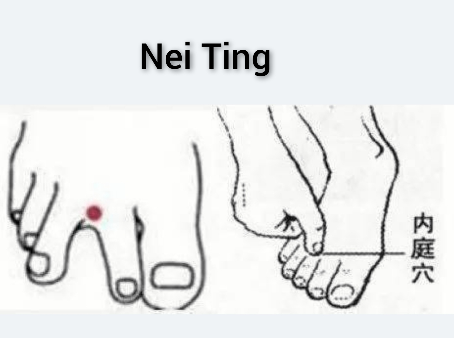 内庭.jpg