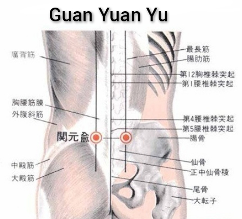 关元俞2.jpg