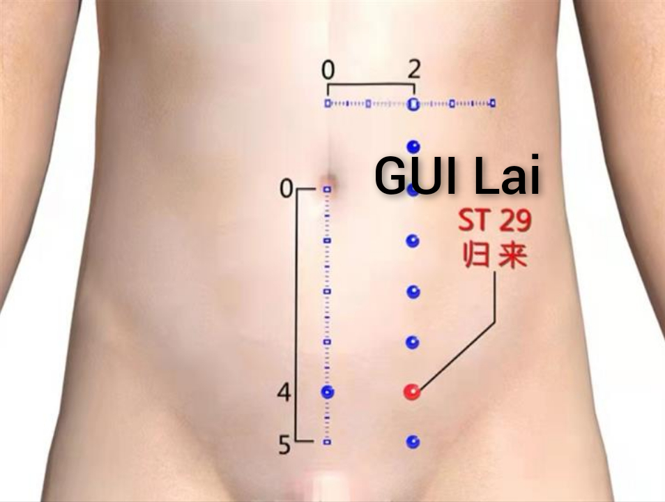 归来1.jpg