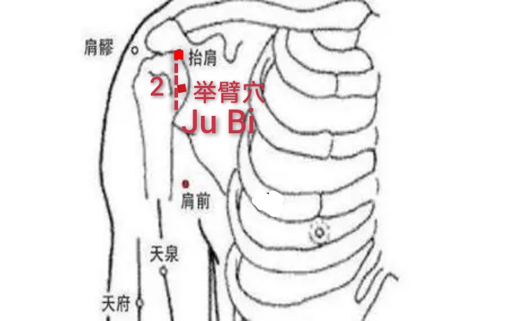 举臂穴.jpg