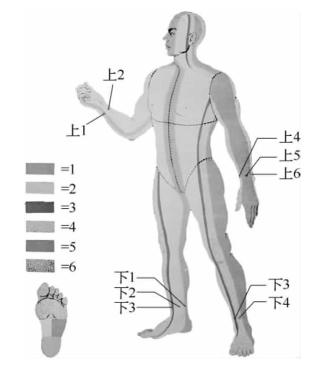 图2-1-2 腕踝针的身体分区和针刺点（侧面）.png