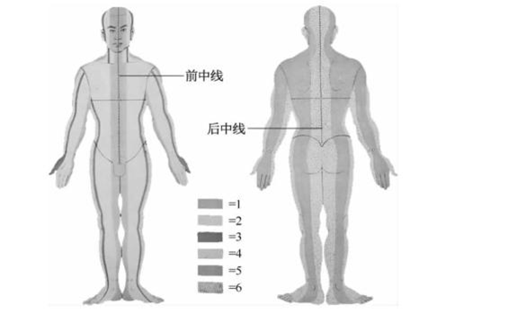 图2-1-5 以身体前后中线为界将身体分为左右两侧.png
