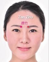 攒竹.jpg