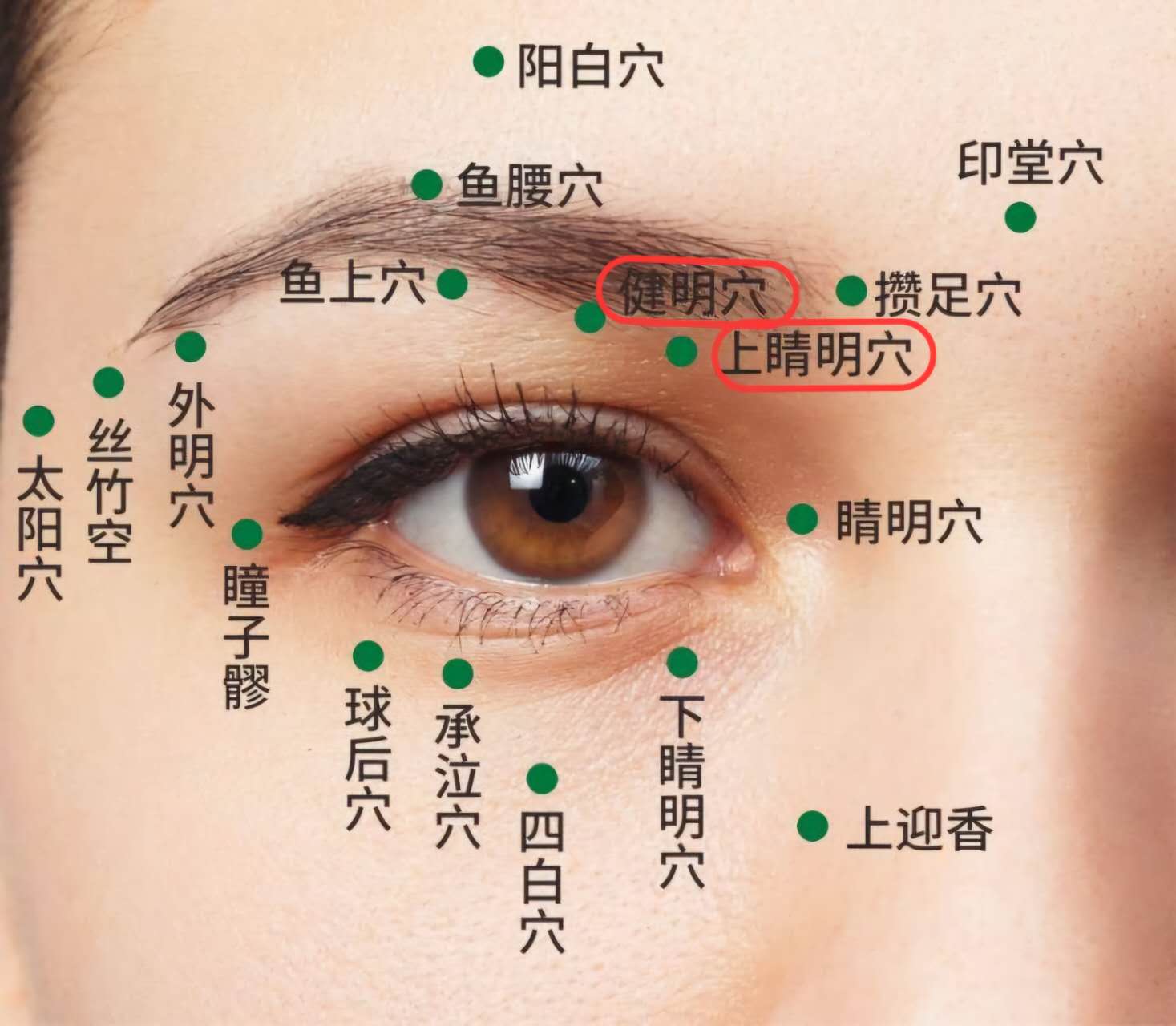 建明-上晴明穴.jpg