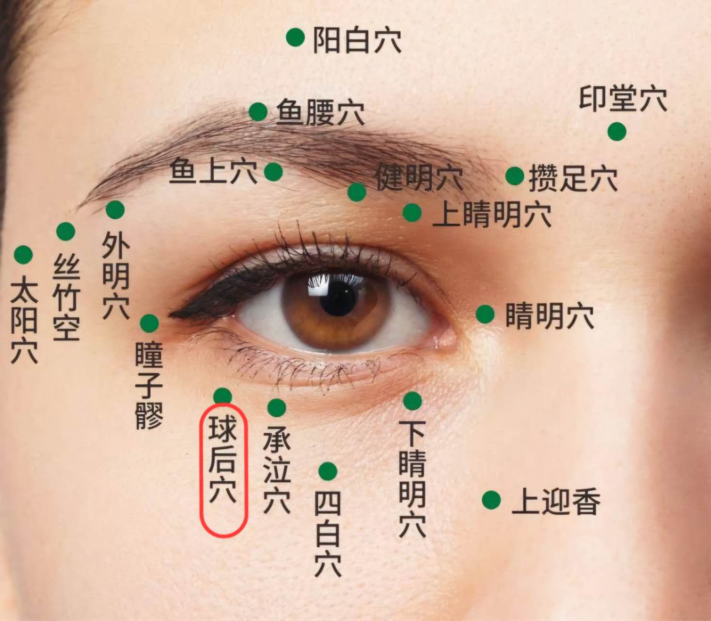 球后穴.jpg