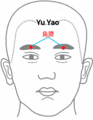 鱼腰.jpg