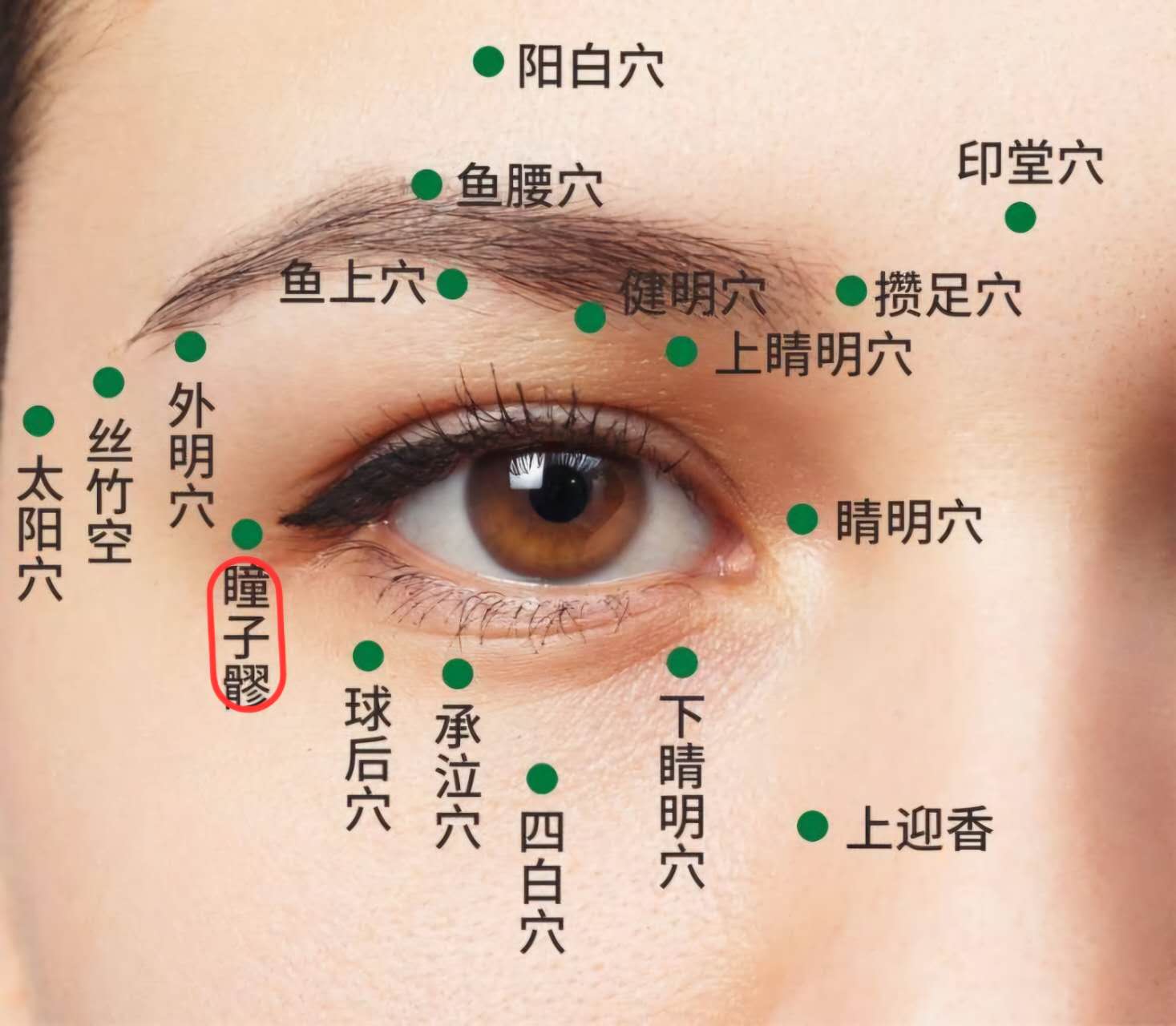 瞳子髎穴.jpg