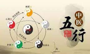 中医基础1.png