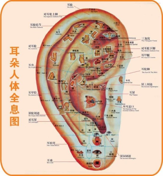 3492610f6e476eaf8658f208f9e865e.png