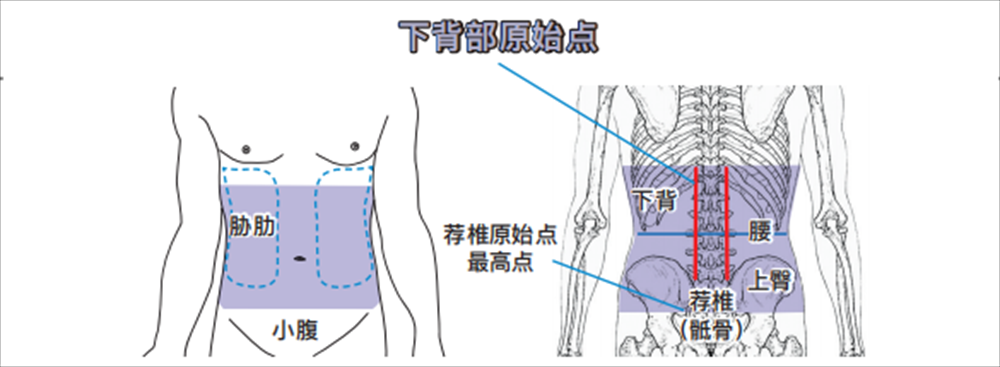 下背部.png