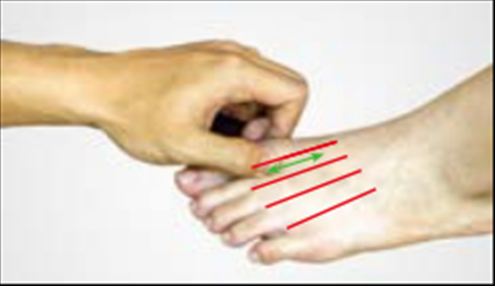 568123ecf08d04d7abd8eeee4b3594b.png