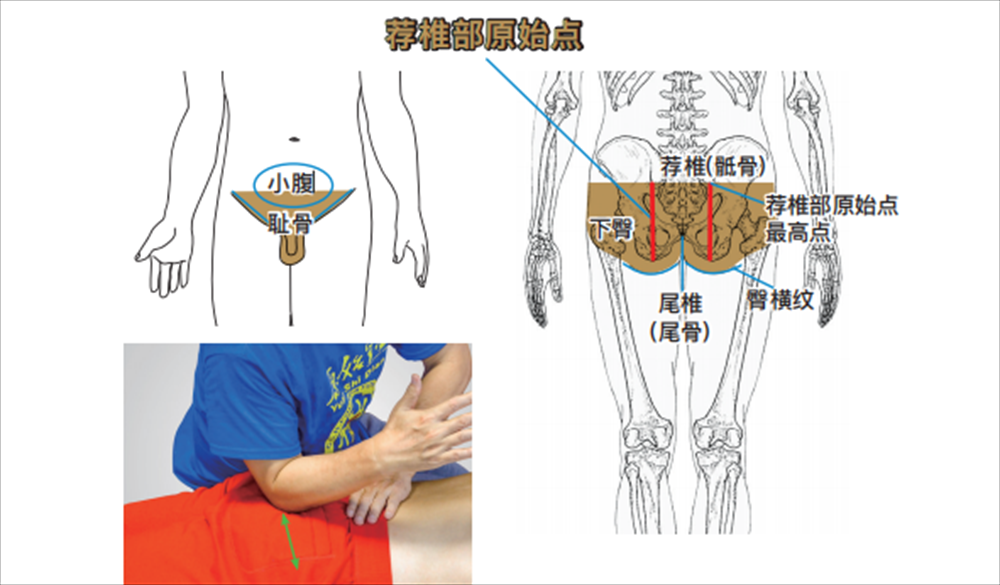3a0fc9c7f53c3058605defac6a75884.png