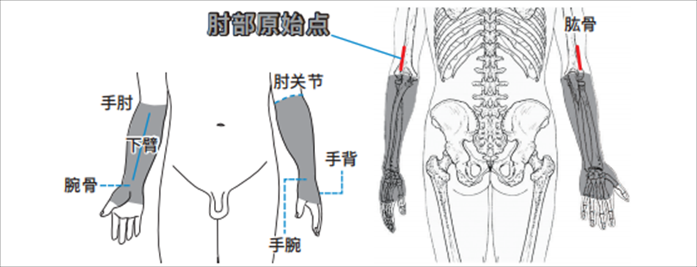 0f94d9e11708ae93c1c3af185a4e786.png