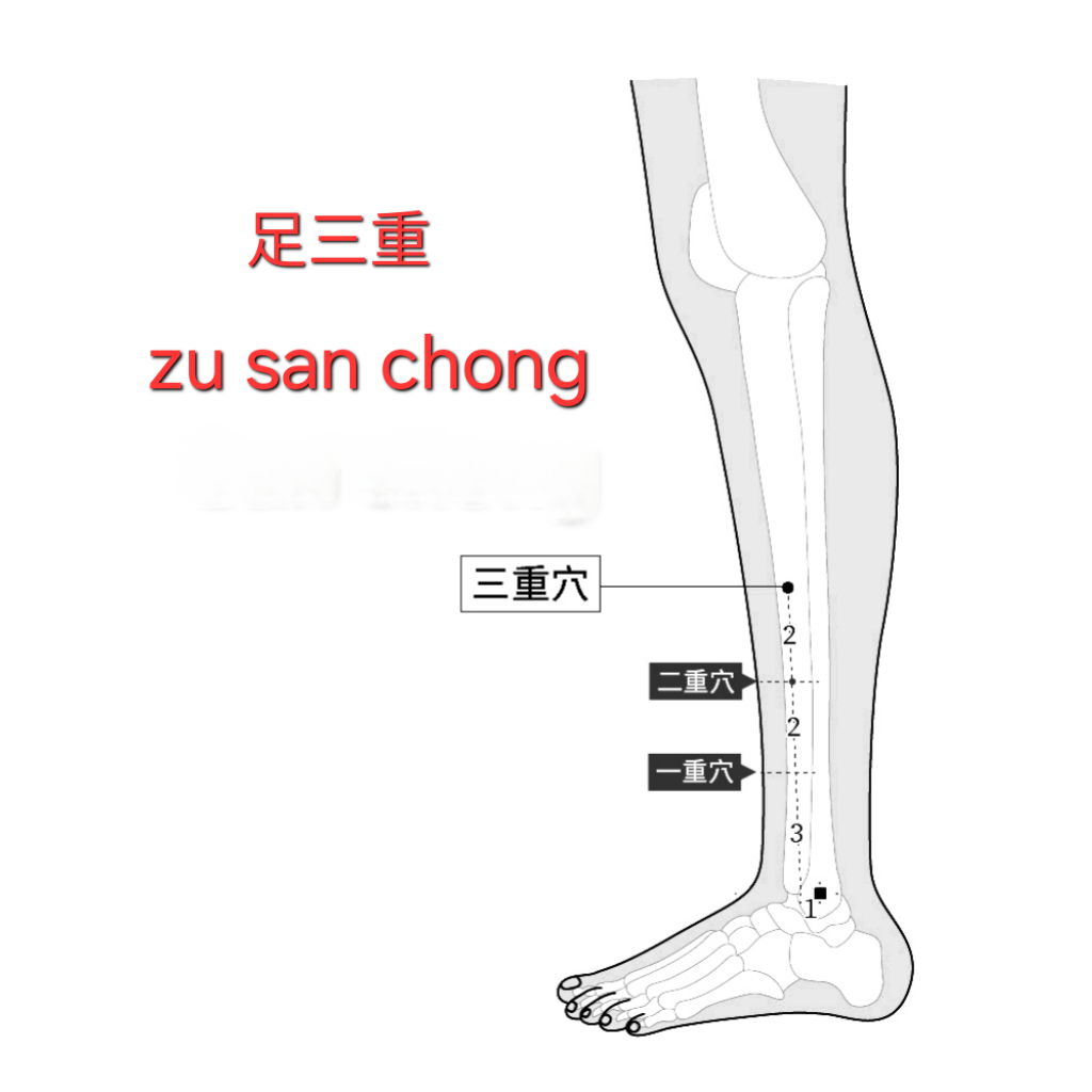 足三重.png
