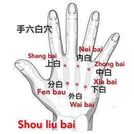手六白.png