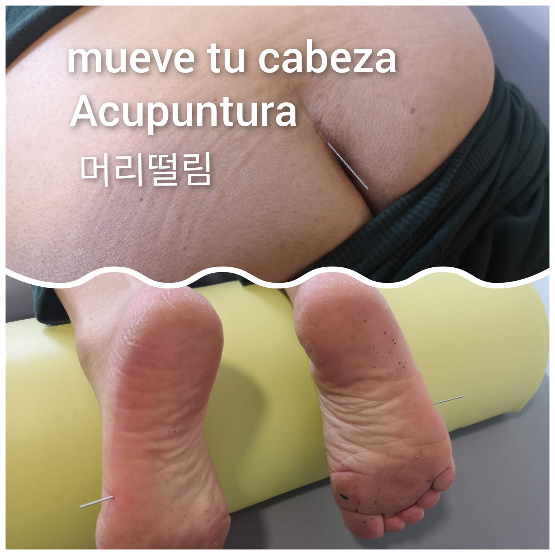 摇头.jpg