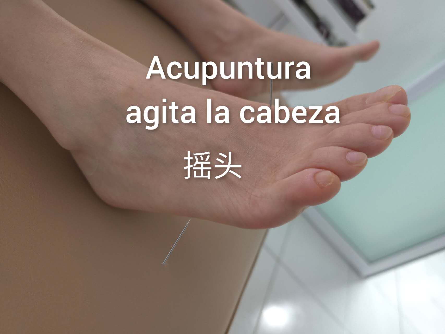摇头2.jpg