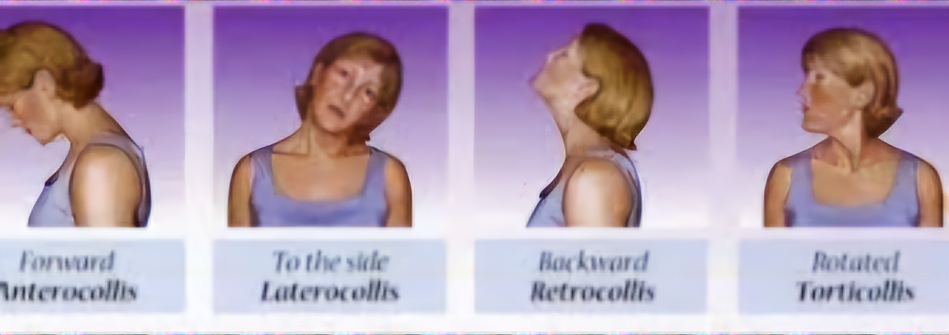 d20ccd8a38d291c137312223cda2079.png