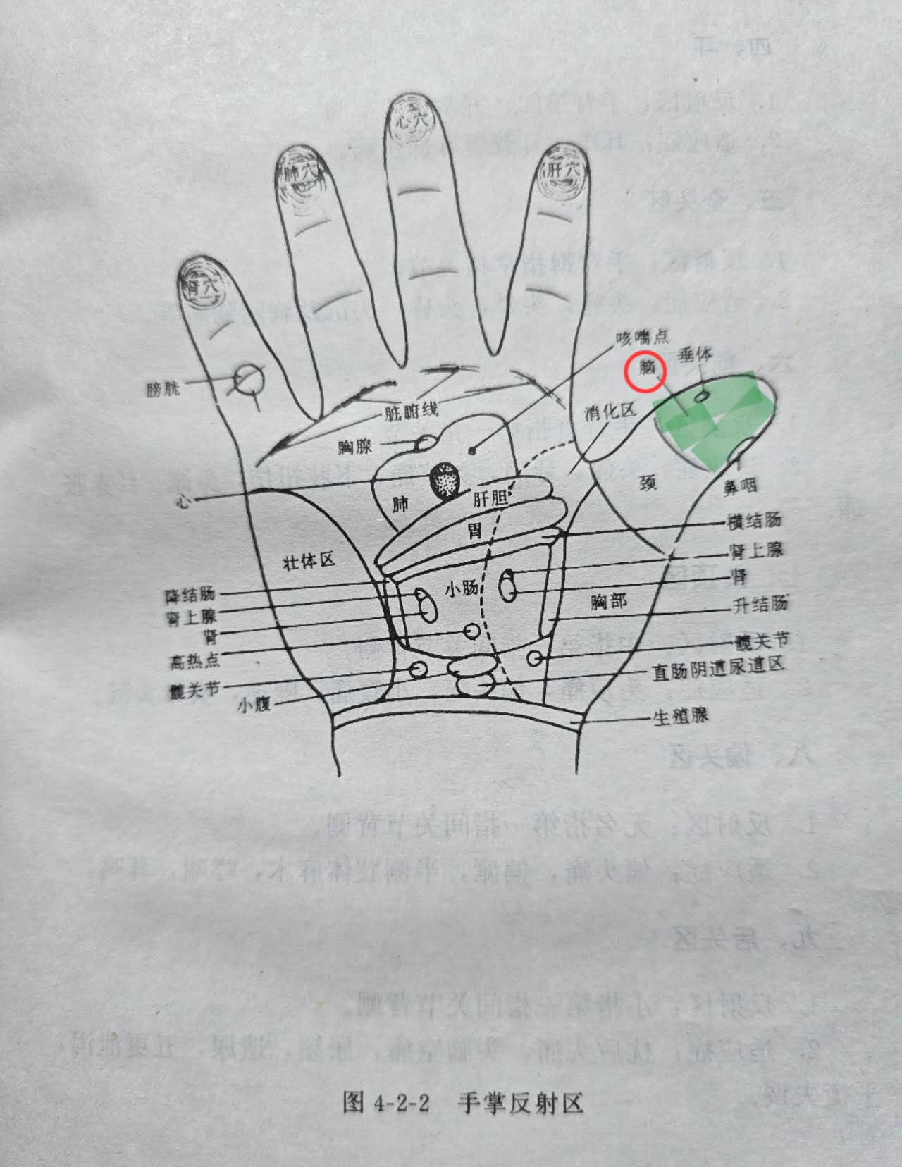 6d58e555630e73f91d8ba6b325c9ada.jpg