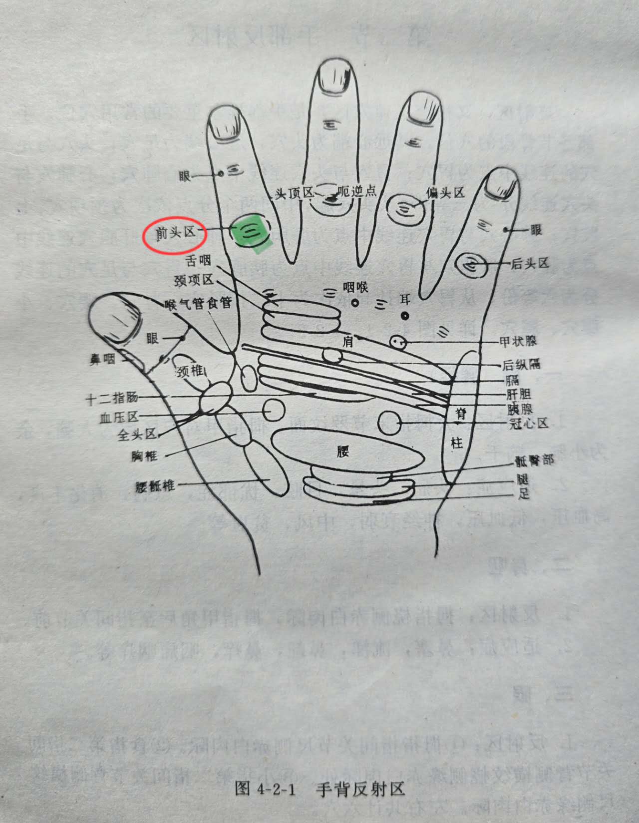 2d2ee956846b5c414df3c98458aba7f.jpg